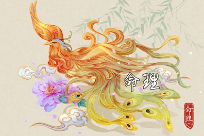 择吉皇历 老皇历万年历 老皇历